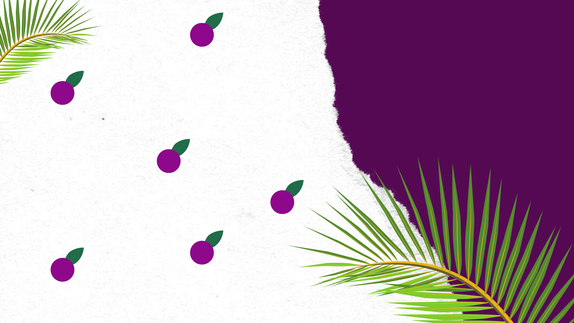 Produtos Café de Açaí Faustina